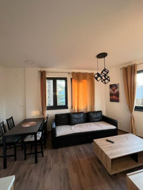 MONTANA apartment 9